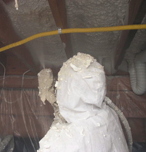 Eugene OR crawl space insulation